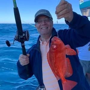 Meet your Posher, George